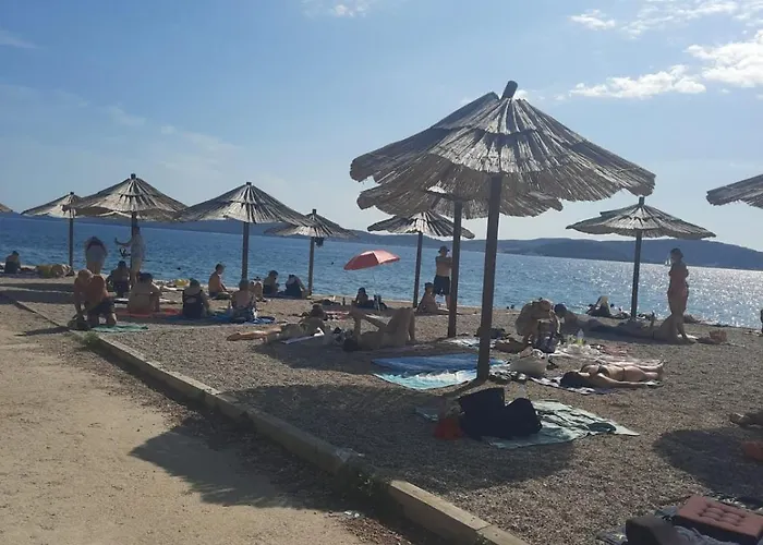 Daire Mary Zadar